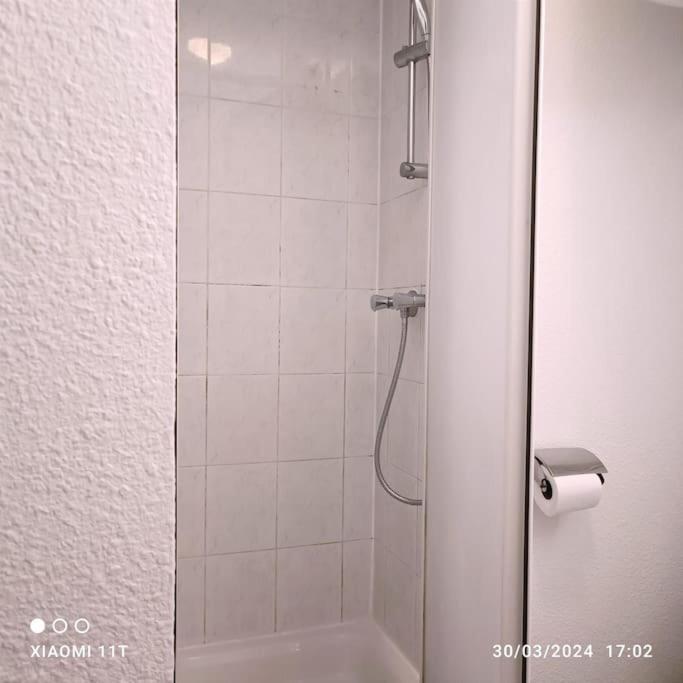 Villeurbanne Centre Appartement Meuble エクステリア 写真
